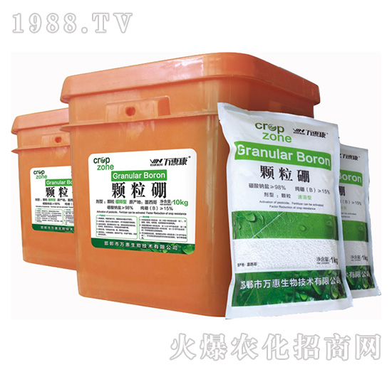 �w����-�f(w��n)�ݿ�