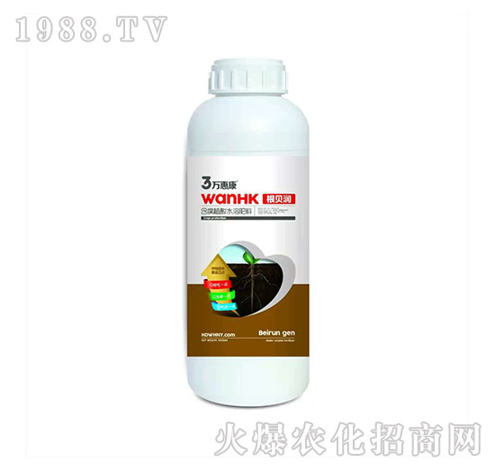 ��ؐ��(r��n)-�f�ݿ�