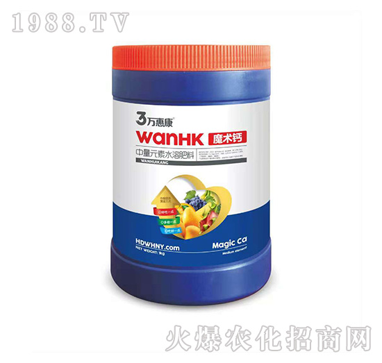 ħ�g�}-�f�ݿ�