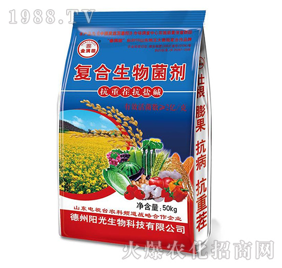 ��(f��)���������-��M��{(l��n)��-�(y��ng)������