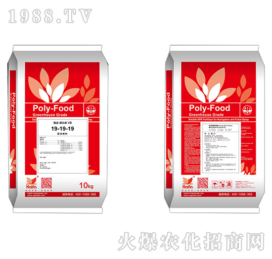 ��(f��)�Ϸ���19-19-19-�����S1̖(h��o)-����