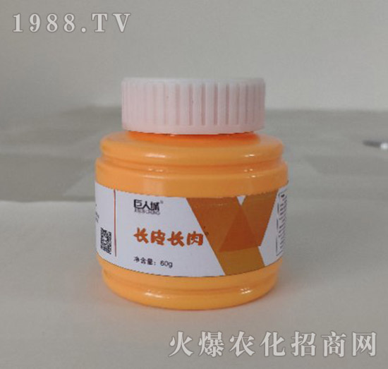 長(zhǎng)皮長(zhǎng)肉-巨人城