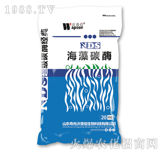 NDS����̼ø-������