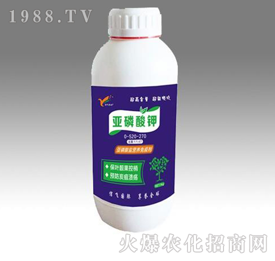 �������-���w�r(n��ng)�I(y��)