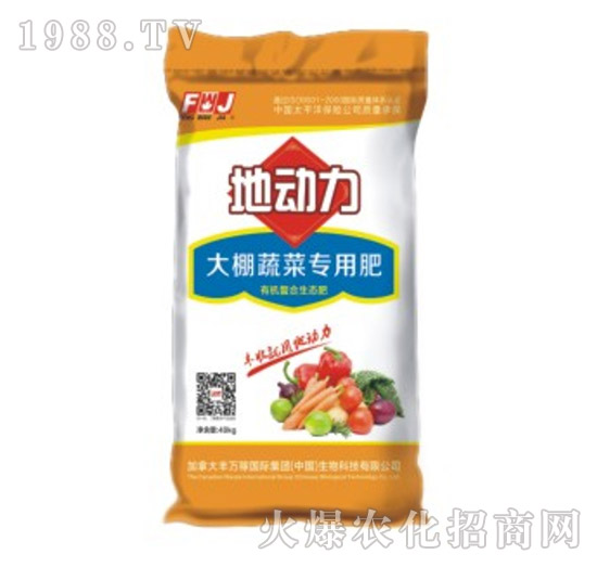 �����߲ˌ��÷�-�؄�(d��ng)��-�S�f��