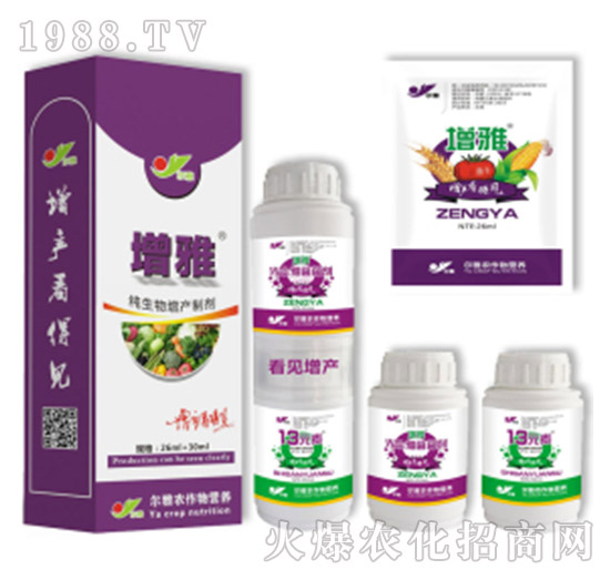 ���ţ��ײͣ�-Ǭ�r(n��ng)