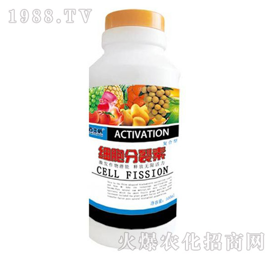 ���������؏ͺ���-��ʿ��