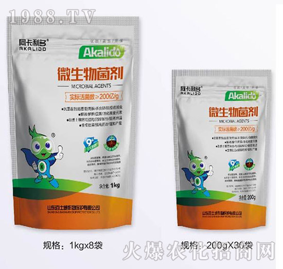 ΢�������-��������-��ʿ��