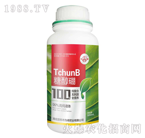 ��һԪ��-�Ǵ���-���