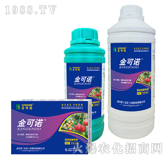 ��֦���ی���-����Z