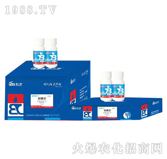 ���׌�(zhu��n)��ˎ-��������-��(gu��)�˸�