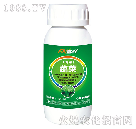 �߲ˌ�(zhu��n)�÷�-���r(n��ng)