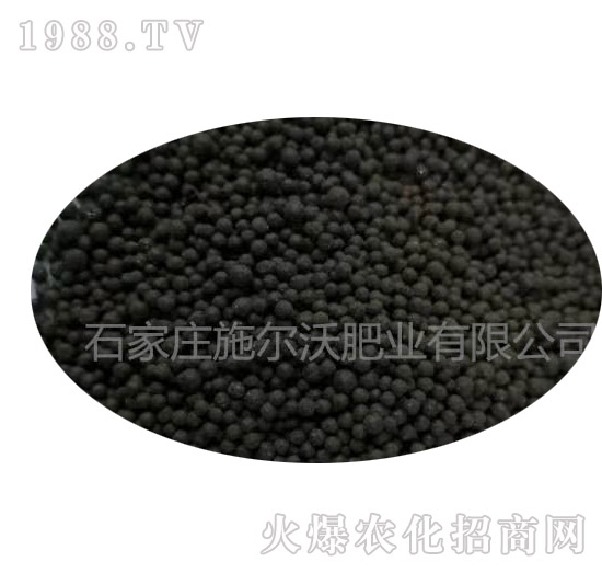 ���{-ʩ���ַʘI(y��)