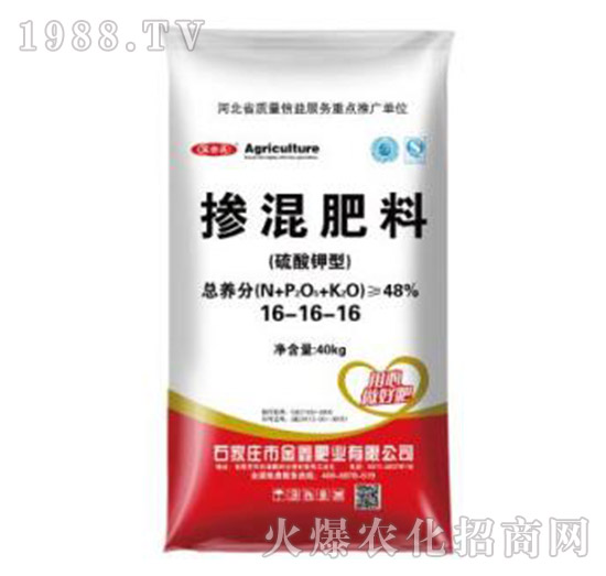 ������⛓������16-16-16-���ηʘI(y��)