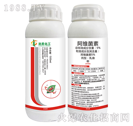 5%���S����-���N����