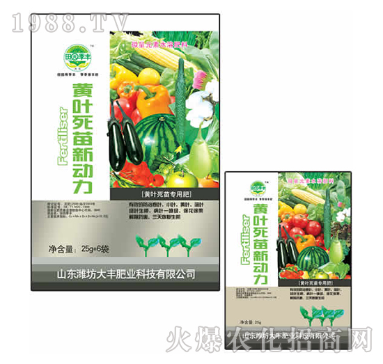 25g�S�~��������-��@���S-���S�ʘI(y��)