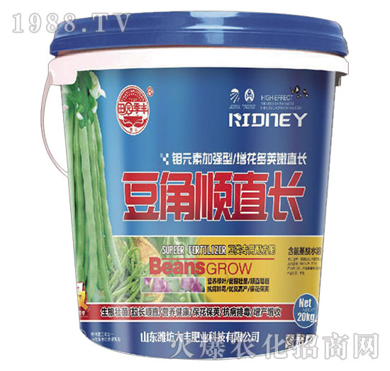 �����ֱ�L(zh��ng)-��@���S-���S�ʘI(y��)