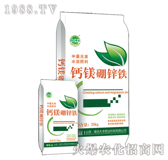 �}�V���\�F-�@���S-���S�ʘI(y��)