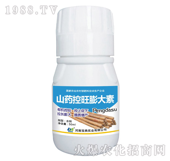 ɽˎ���������-���䌍�I(y��)