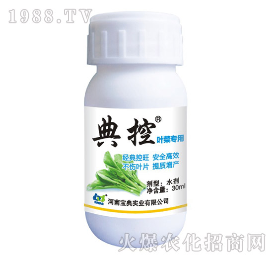 �~�ˌ���-���-���䌍(sh��)�I(y��)