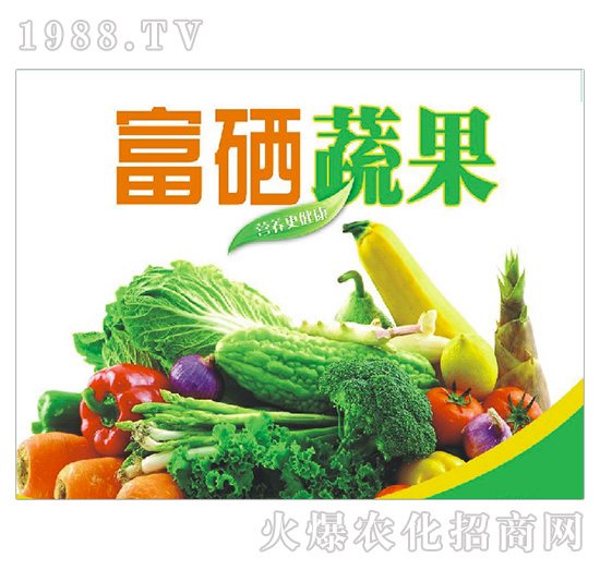 �����߹�-�h�|����