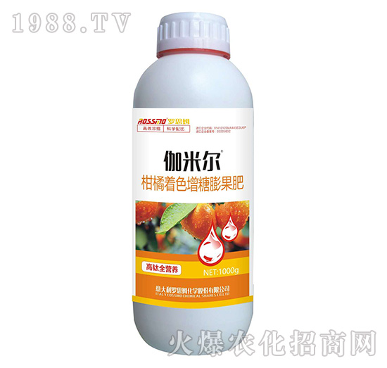 ������ɫ���������-٤�נ�-ľ�̼ь�