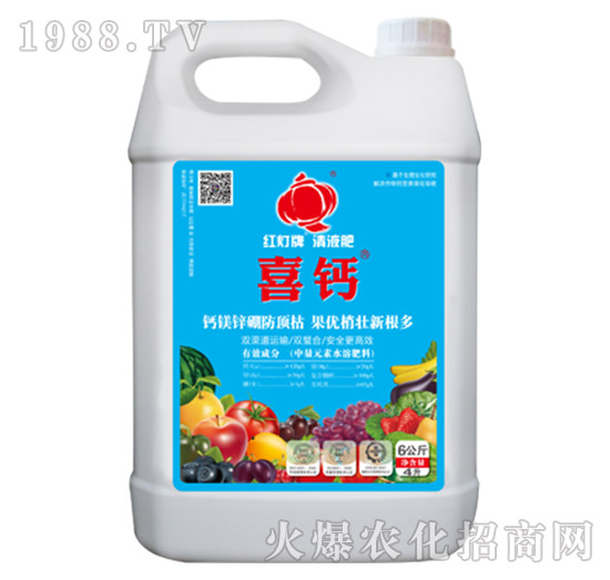 ϲ�}���أ�-������