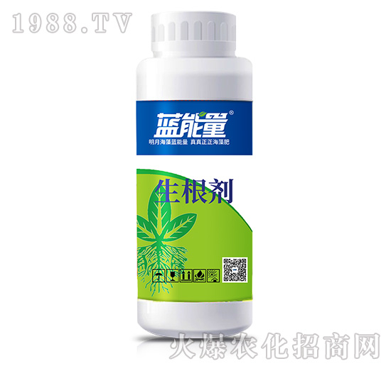 ������-�{����