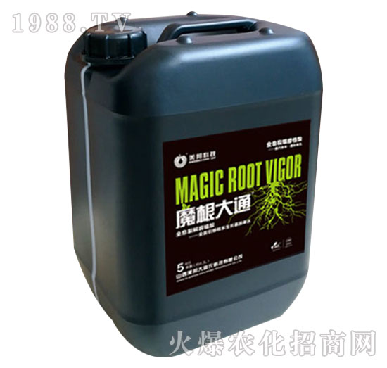 ħ����ͨ-����Ƽ�