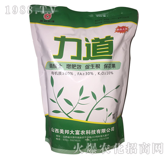 ����-����Ƽ�