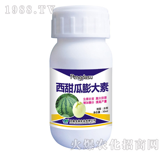 ����������-���䌍�I(y��)