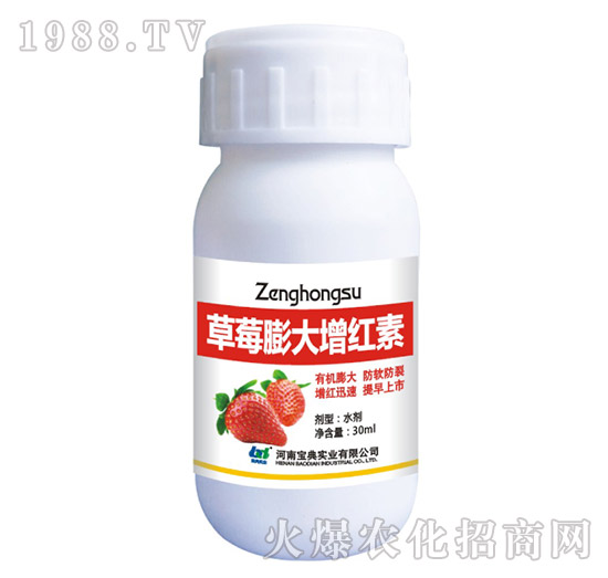 ��ݮ������t��-���䌍�I(y��)