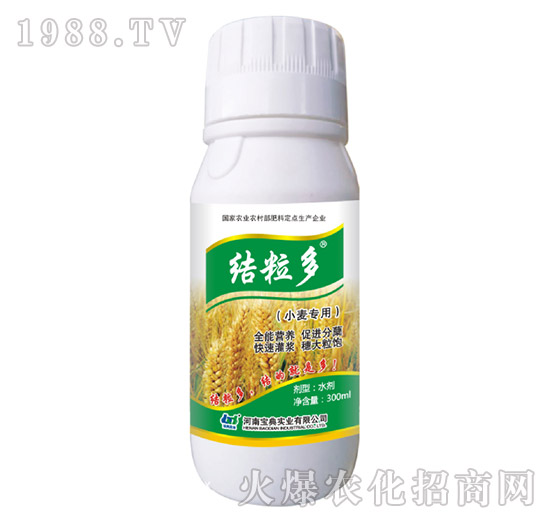 С����(zhu��n)��-�Y(ji��)����-���䌍(sh��)�I(y��)