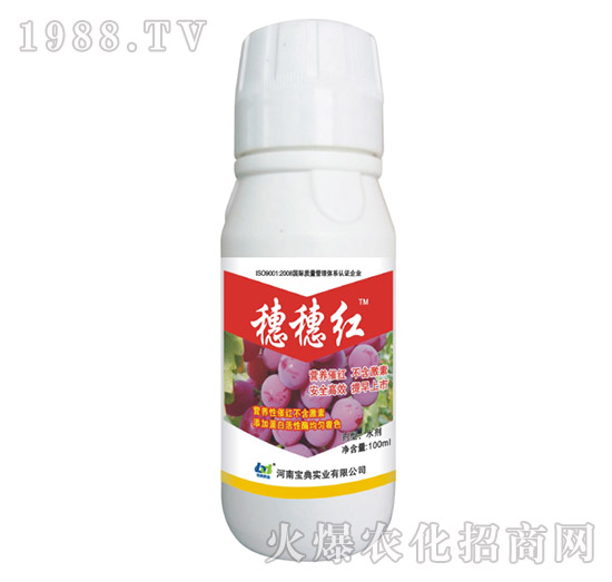 ����t-���䌍�I(y��)