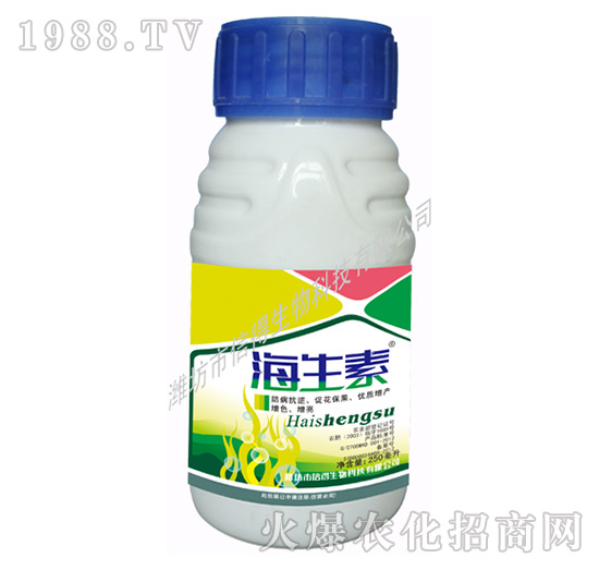 �����ع��䌣��-�ŵ�