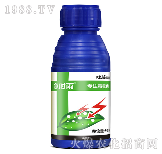 ˪ù�����Ú�����-���r(sh��)��-�к�����