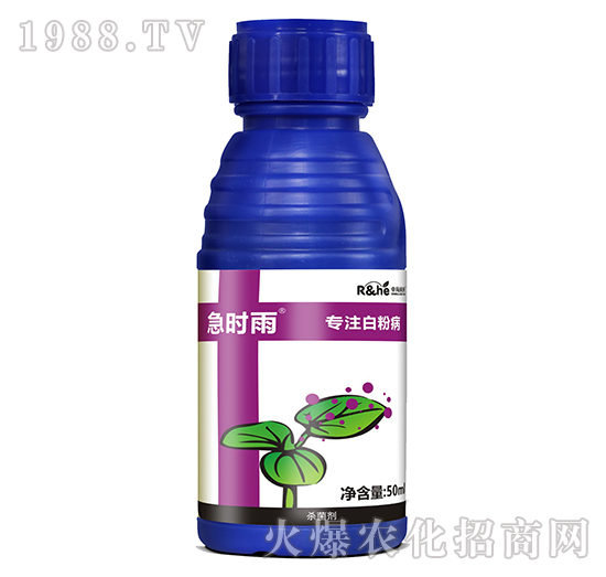 �׷۲����Ú�����-���r��-�к�����