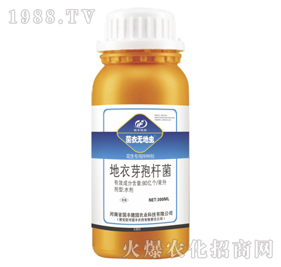 �������ð�N��-���o(w��)���x(ch��ng)-��(gu��)�S���@