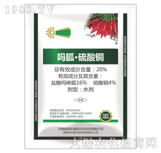 20%���ҡ������~-���S���@