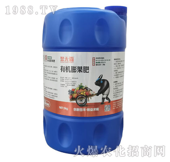 �ЙC�����-�۟o��-���S����