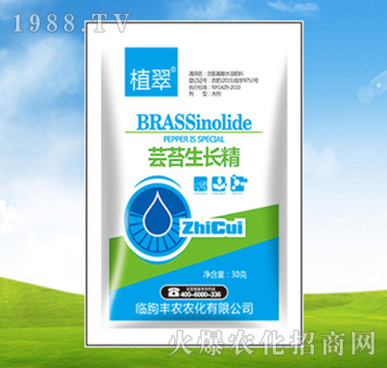 �|̦���L��-ֲ��-�S�r�r��