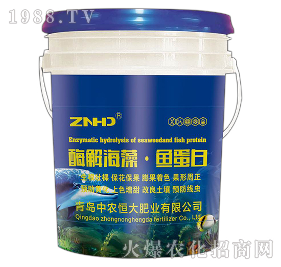 ø�⺣�塤�~����-���r(n��ng)���