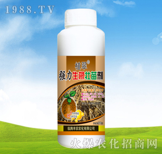 ��(qi��ng)���������焩-ֲ��-�S�r(n��ng)�r(n��ng)��