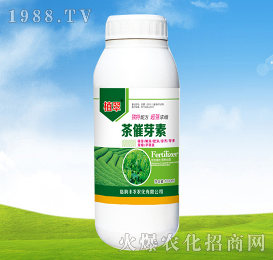 ���ѿ��-ֲ��-�S�r�r��