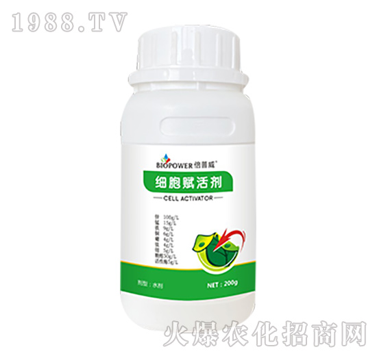 �����x�-������