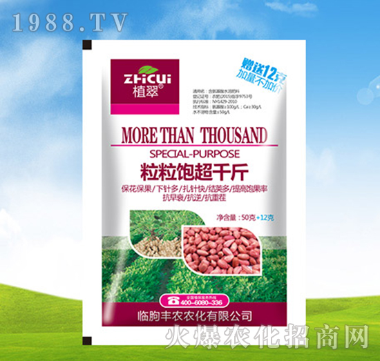 �����ǧ��-ֲ��-�S�r�r��