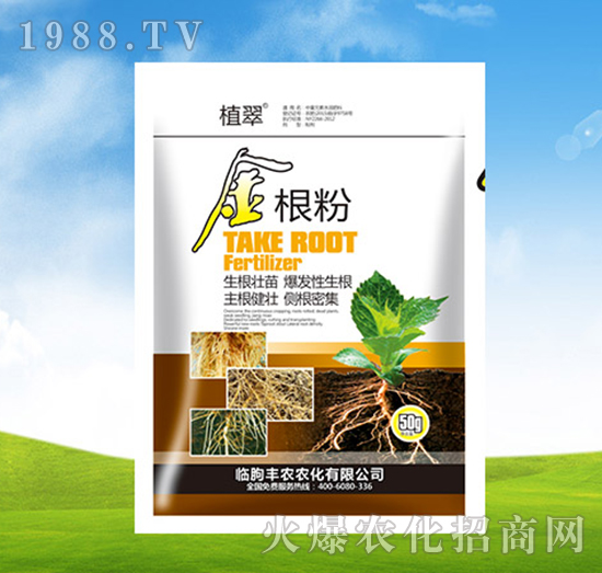 ���y��-ֲ��-�S�r(n��ng)�r(n��ng)��