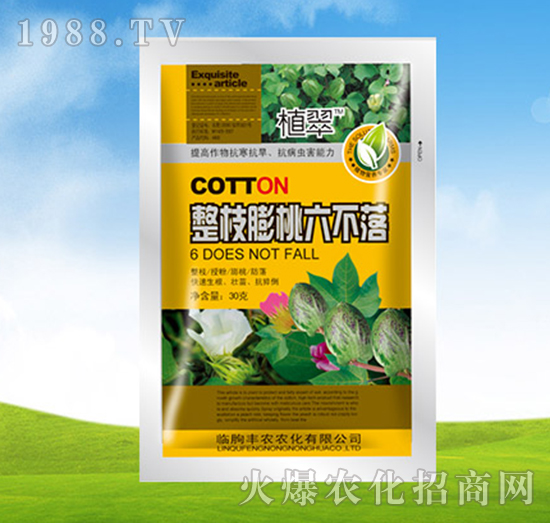 ��֦����������-ֲ��-�S�r(n��ng)�r(n��ng)��