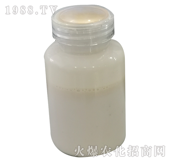 �~(y��)���}-���P����