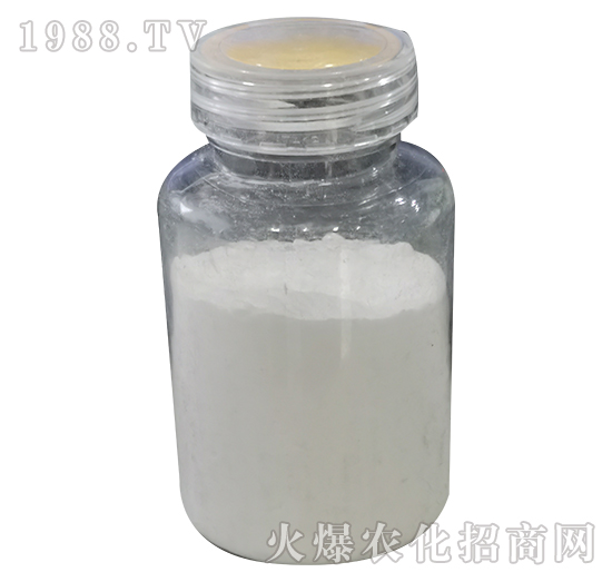 ����������0-52-34-���P����